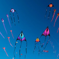 2025-07-19_12-59-45-381140.jpg