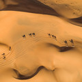 2025-07-19_13-01-01-359226.jpg