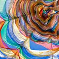 2025-07-19_13-02-01-913662.jpg