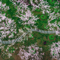 2025-07-19_13-02-17-786408.jpg
