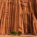 2025-07-19_13-03-25-015206.jpg