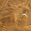 2025-07-19_13-05-50-060771.jpg