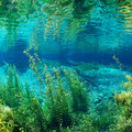 2025-08-03_10-22-59-558812.jpg