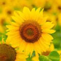 2025-09-03_07-30-27-048722.jpg